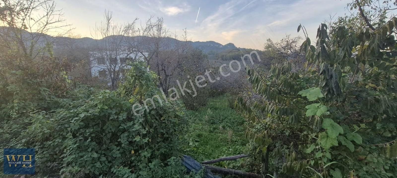 Eskikızılcakesede 804 Metrekare Yola Cephe Satılık Bahçe - Görsel 3