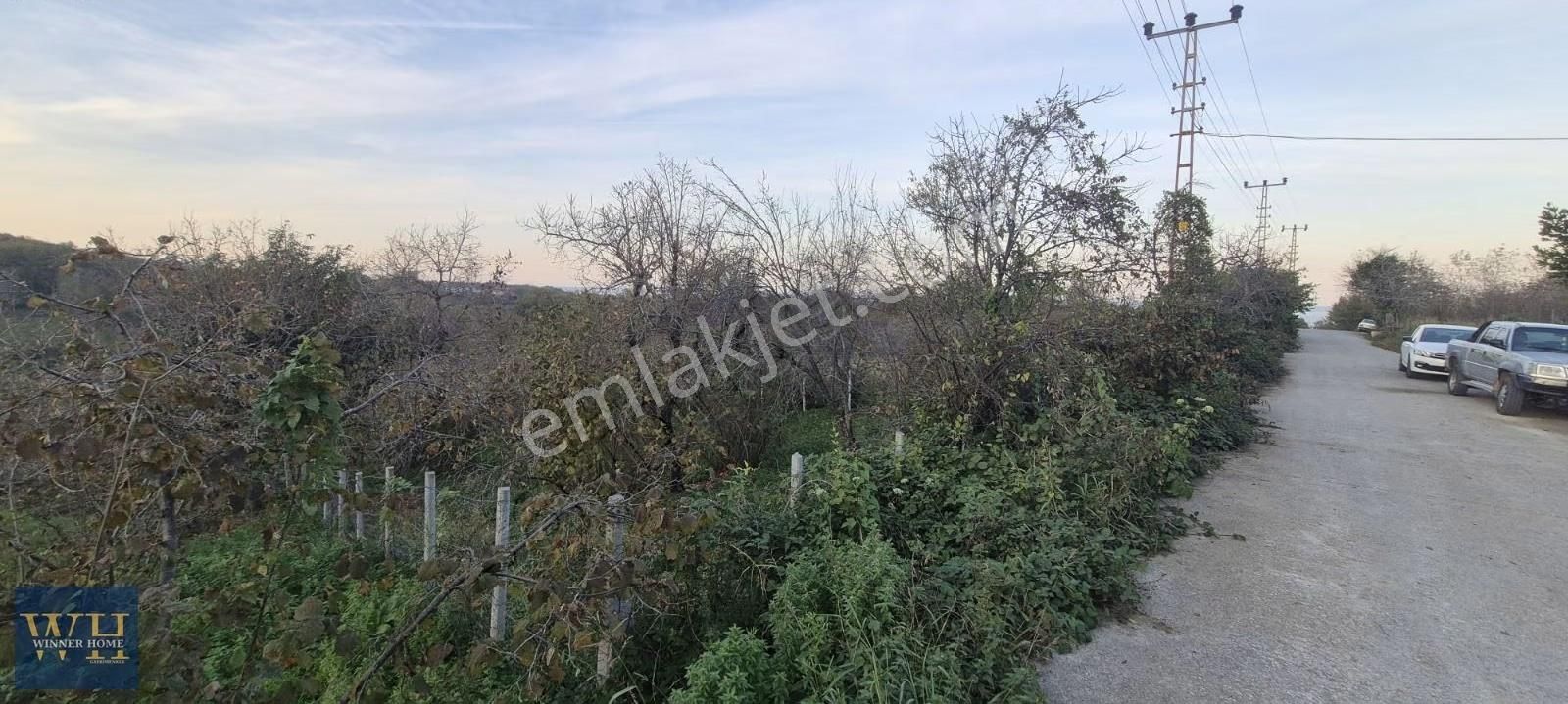Eskikızılcakesede 804 Metrekare Yola Cephe Satılık Bahçe - Görsel 8