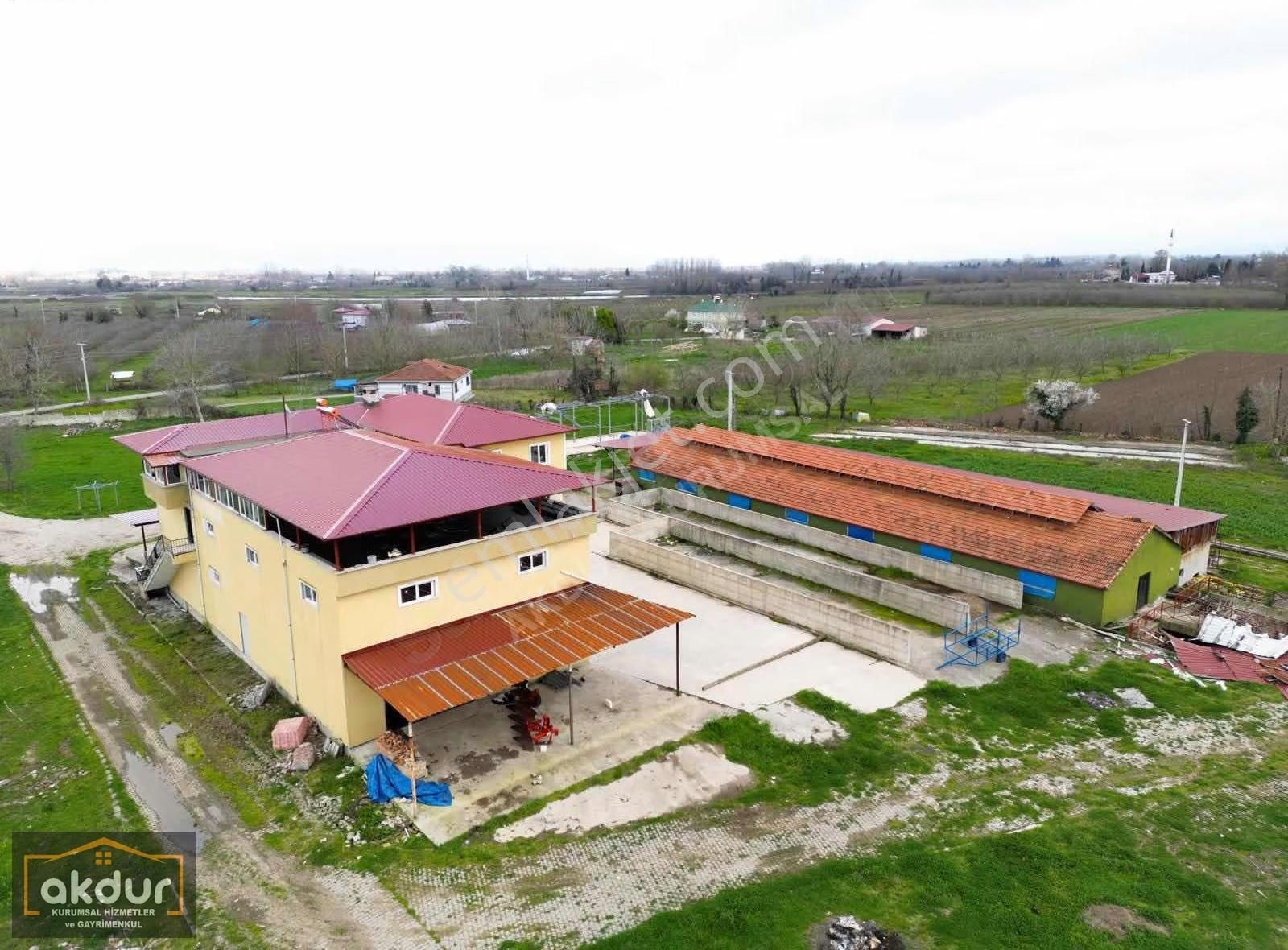 Akdur Dan Çaramba Da 154,dönüm Çiflik - Görsel 16