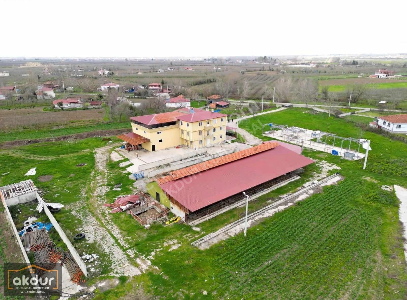 Akdur Dan Çaramba Da 154,dönüm Çiflik - Görsel 21