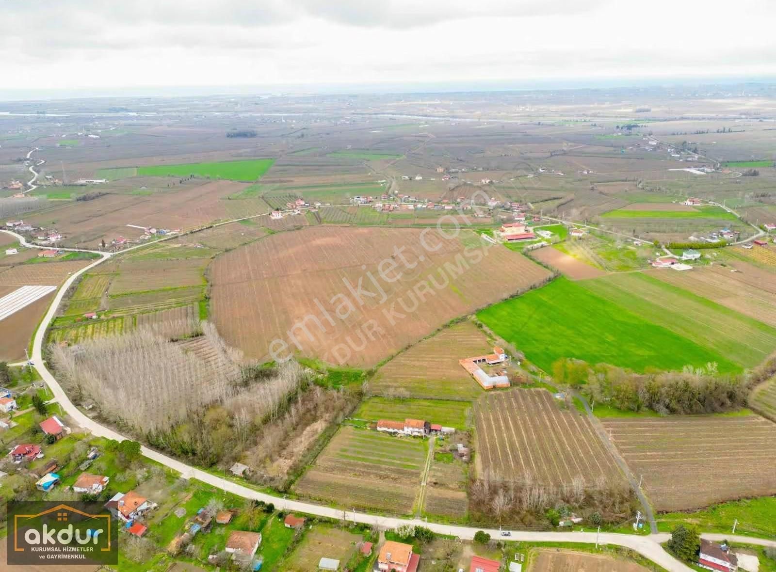 Akdur Dan Çaramba Da 154,dönüm Çiflik - Görsel 20