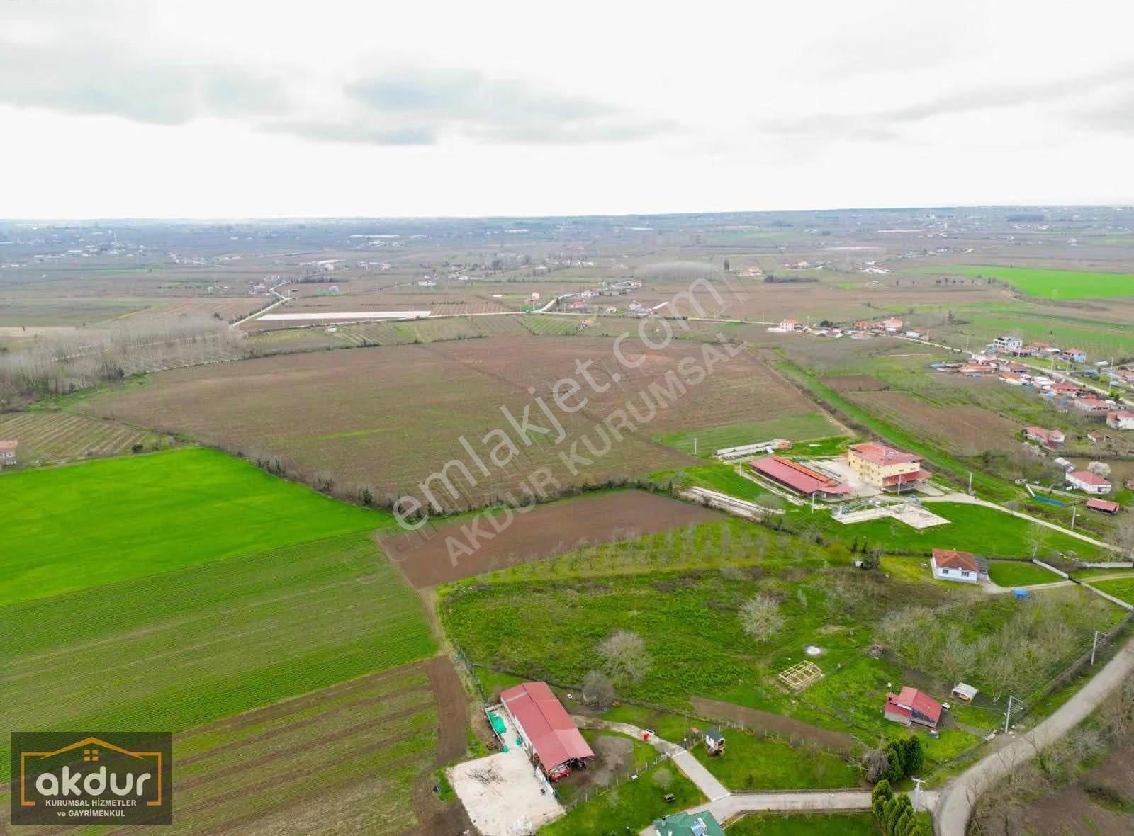 Akdur Dan Çaramba Da 154,dönüm Çiflik - Görsel 3