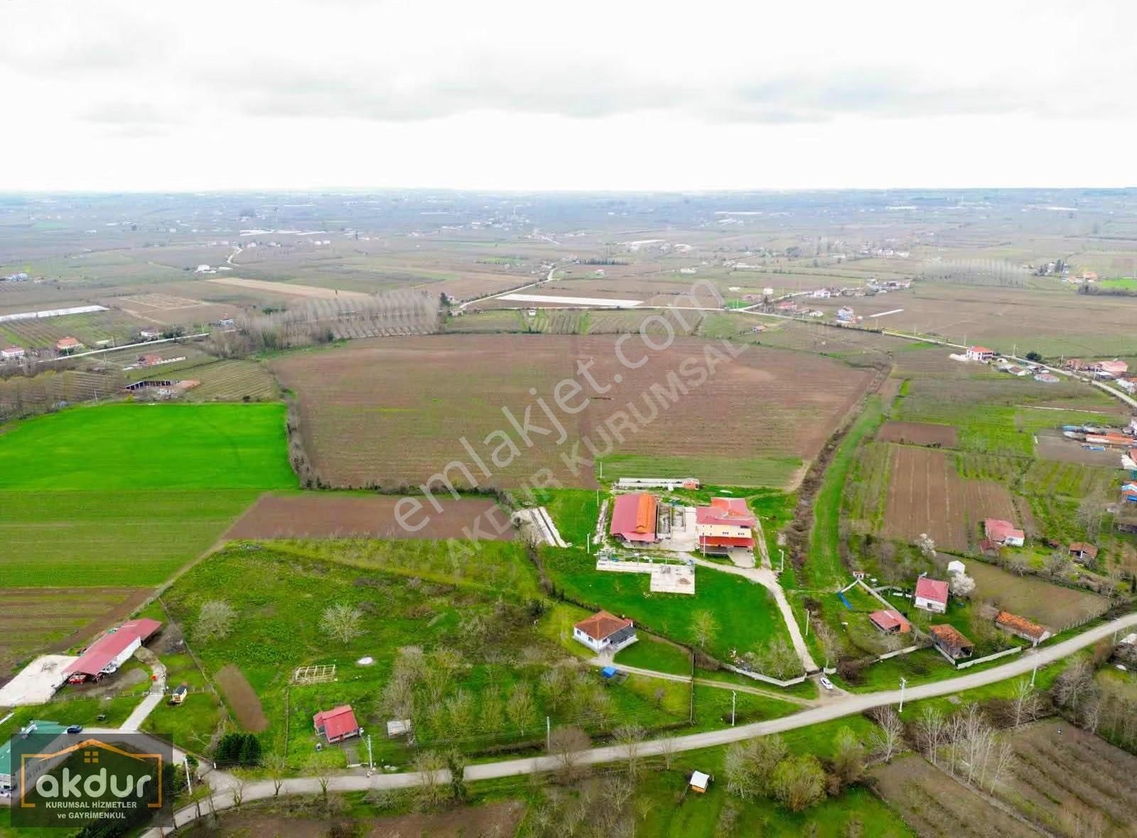 Akdur Dan Çaramba Da 154,dönüm Çiflik - Görsel 4