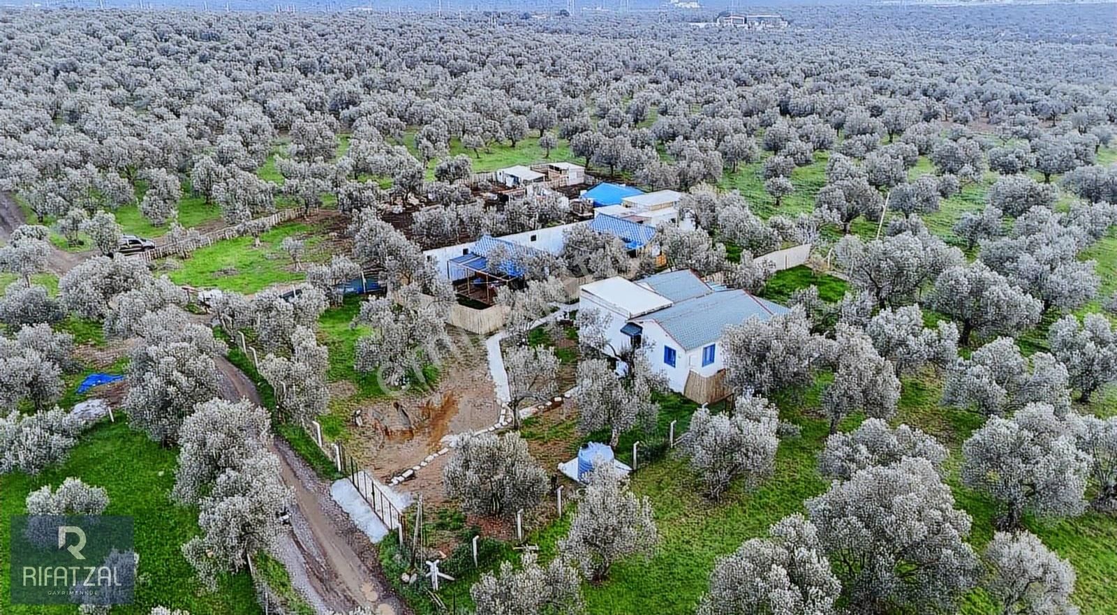 Sahilkent'te Denize 500m 2+1 Şömineli/klimalı Eşyalı Müstakil Ev - Görsel 13