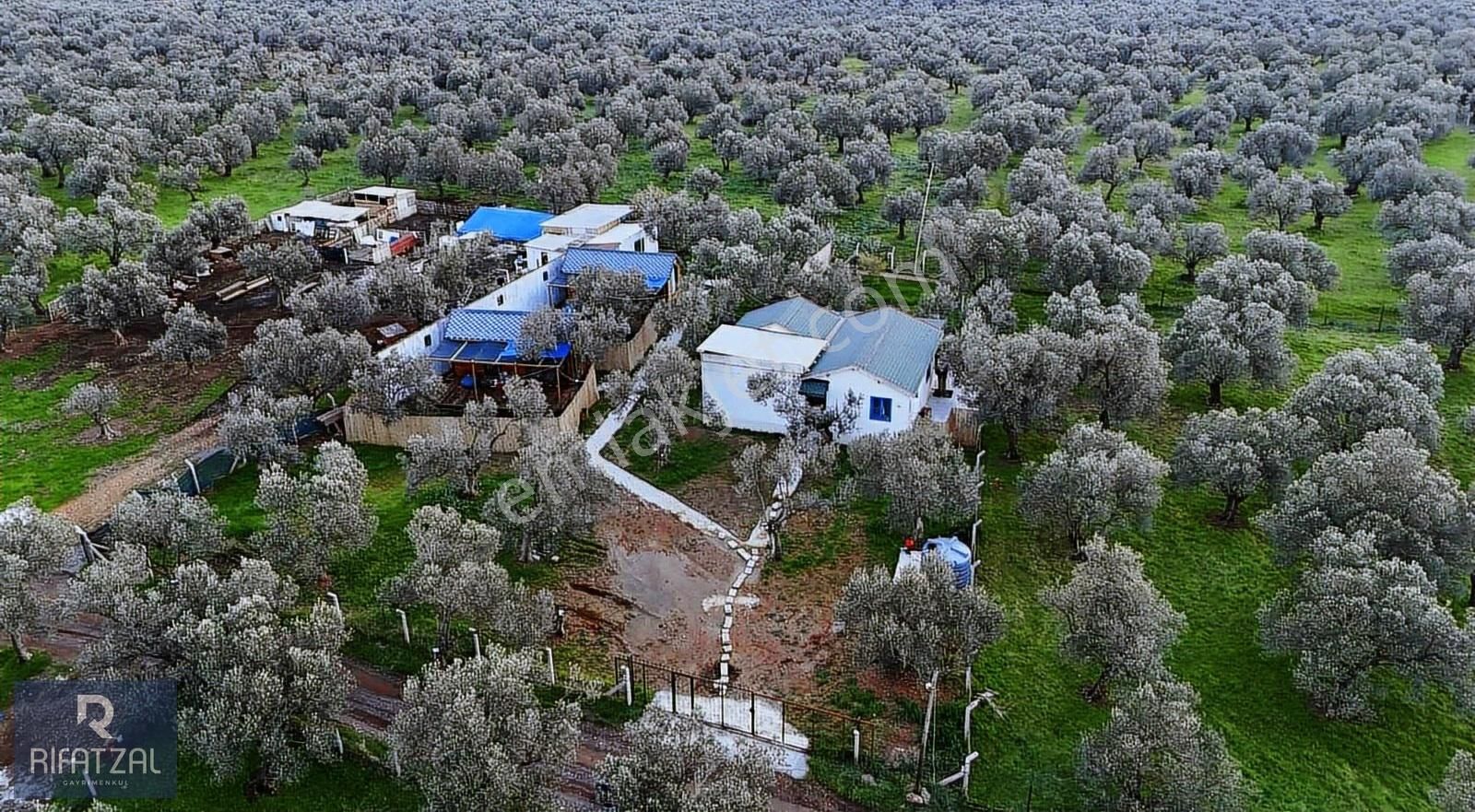 Sahilkent'te Denize 500m 2+1 Şömineli/klimalı Eşyalı Müstakil Ev - Görsel 19