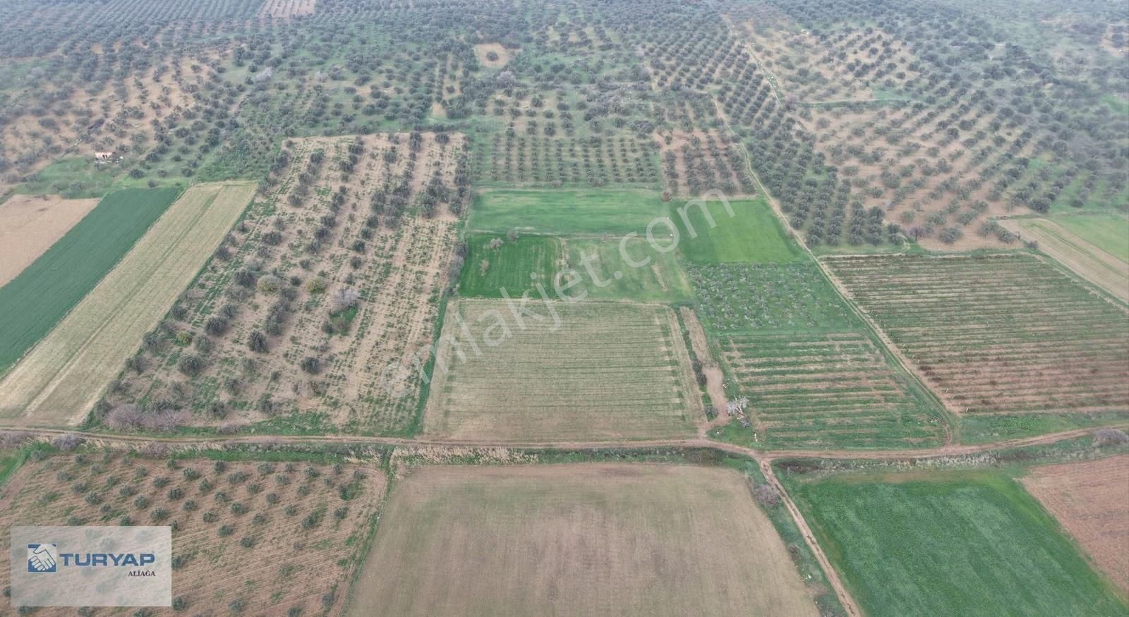 Bergama Zeytindağ'da Satılık Tarla - Görsel 6