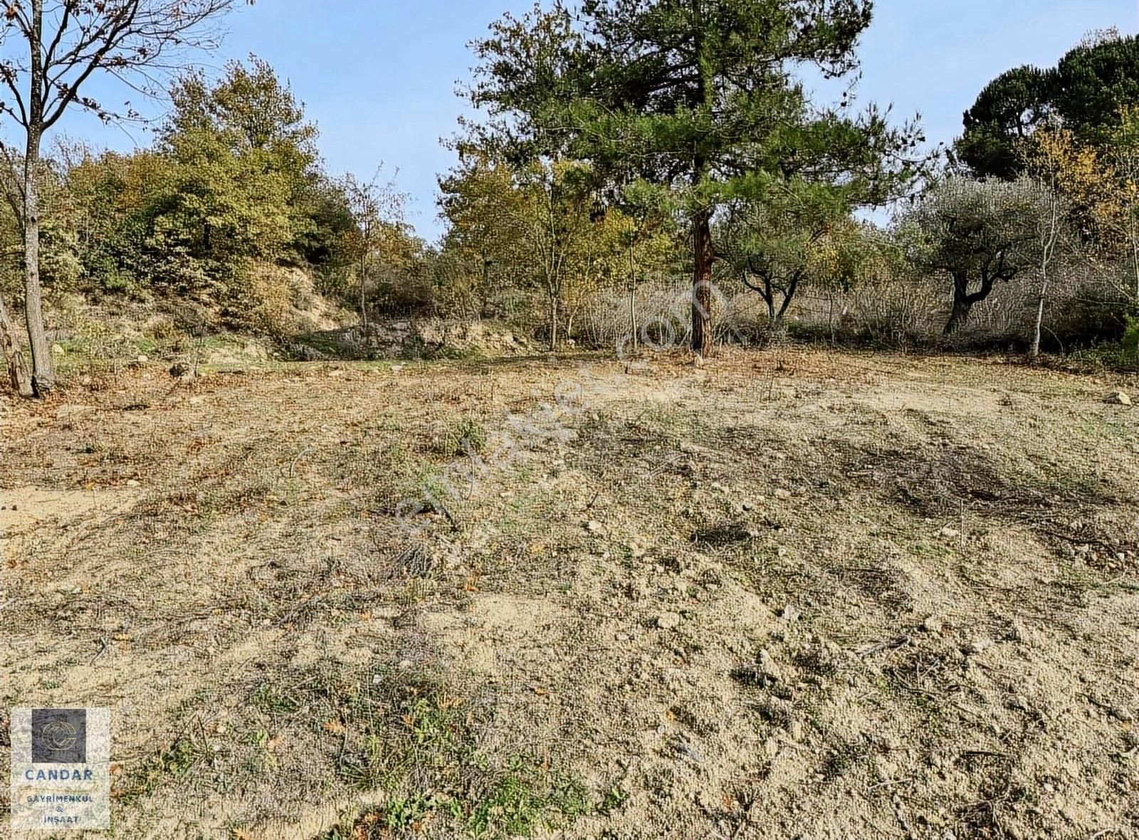 İznik Derbent Mahallesinde Resmi Yola Cephe Satılık Tarla - Görsel 3