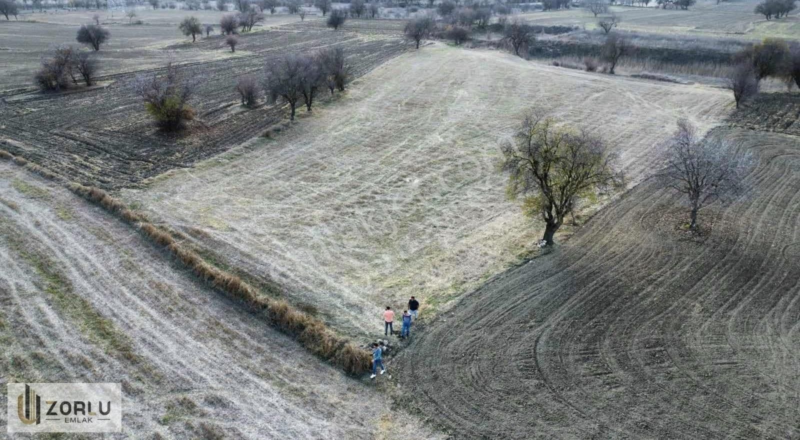 Döşemealtı Bademağacında 5993 M2 Çevre Yolu Yakını Satılık Tarla