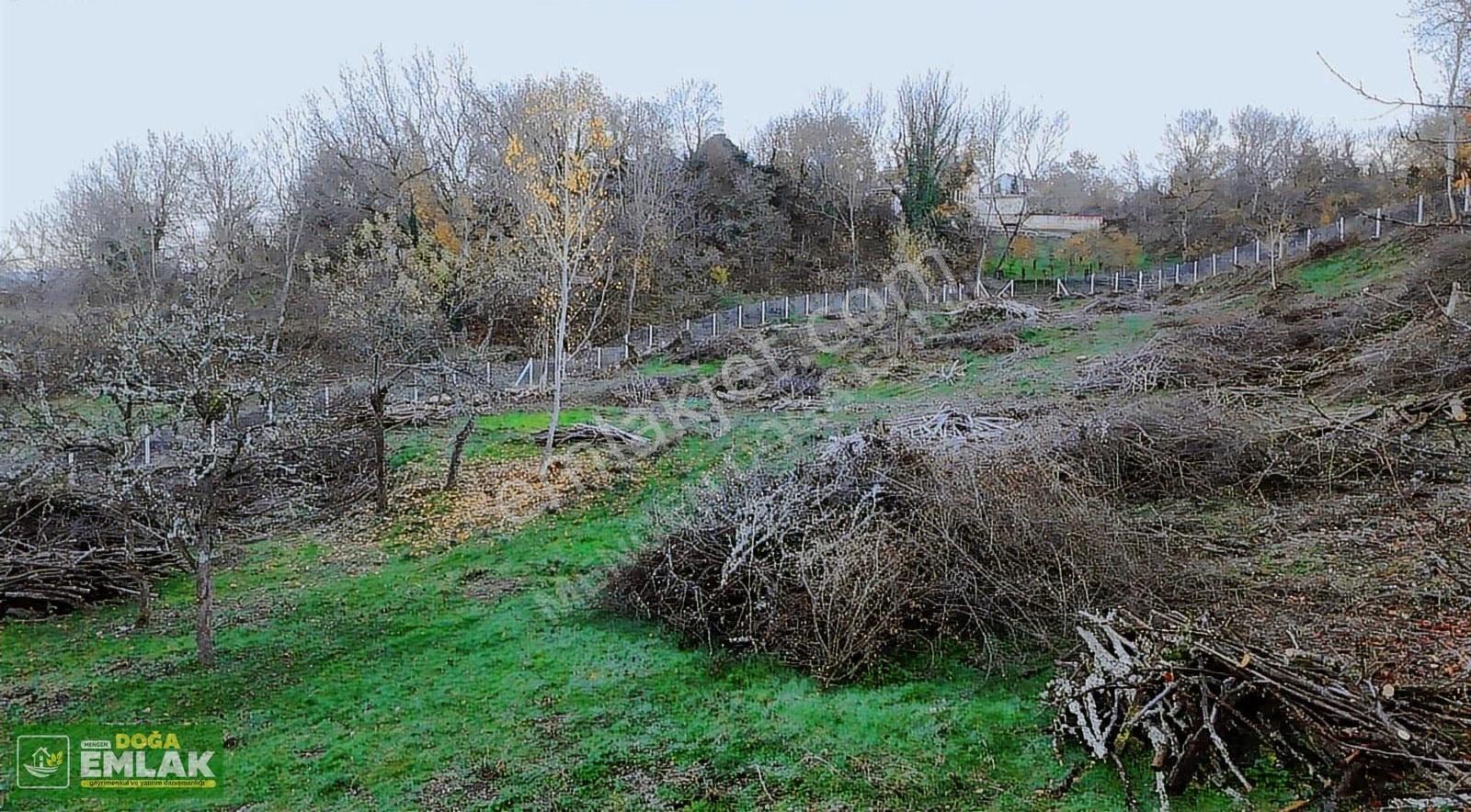 Mengen Babahızır Köyünde 3,5 Dönüm Satılık Köyiçi İmarlı Arsa - Görsel 8