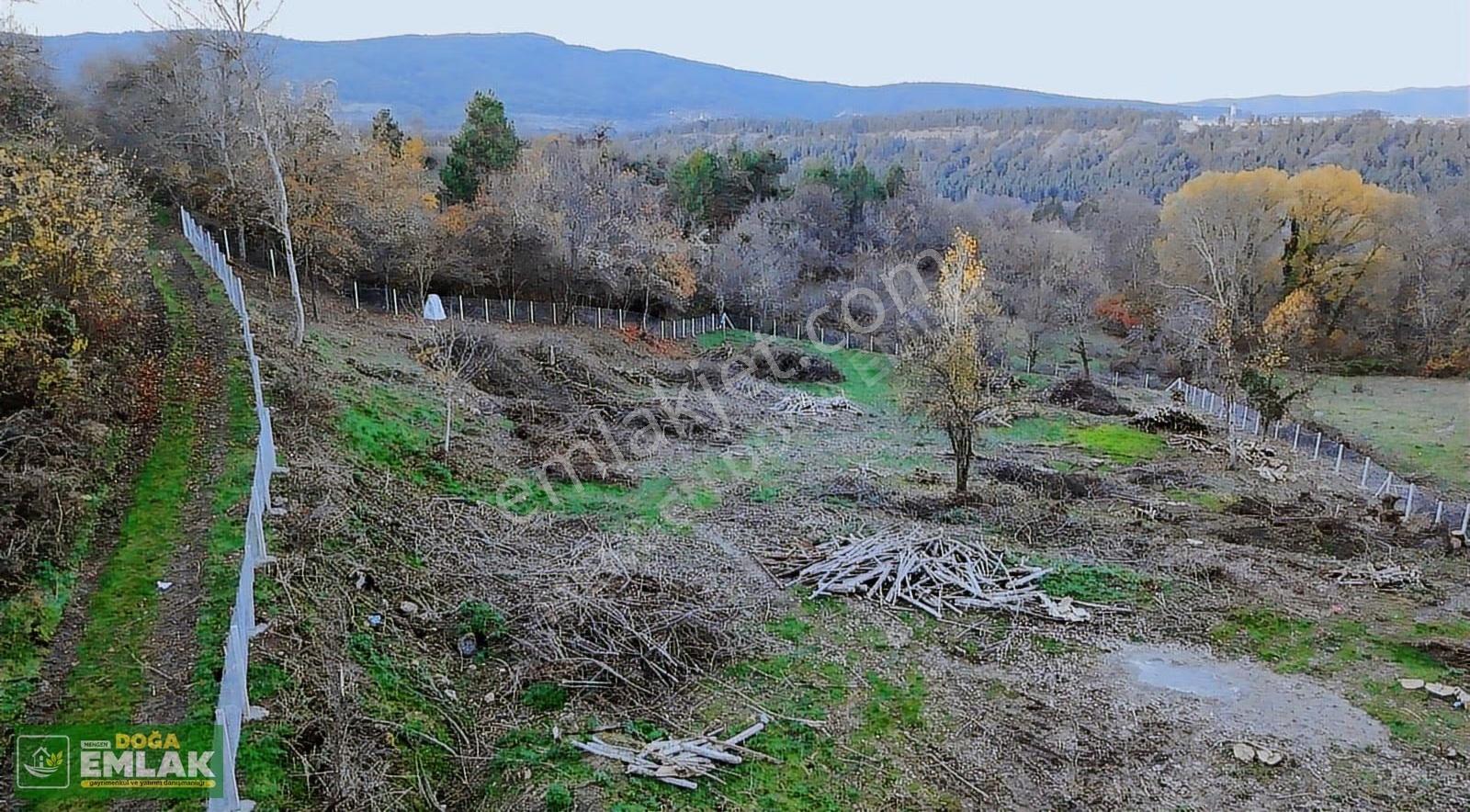 Mengen Babahızır Köyünde 3,5 Dönüm Satılık Köyiçi İmarlı Arsa - Görsel 11