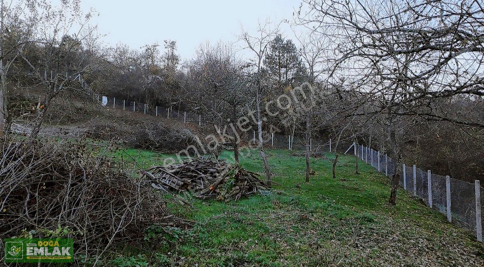 Mengen Babahızır Köyünde 3,5 Dönüm Satılık Köyiçi İmarlı Arsa - Görsel 15