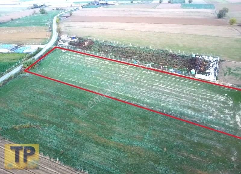 Süper Konumlu Satılık Tarla - Görsel 7