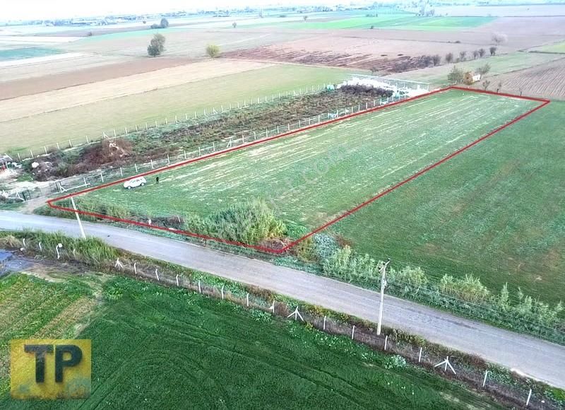 Süper Konumlu Satılık Tarla - Görsel 4