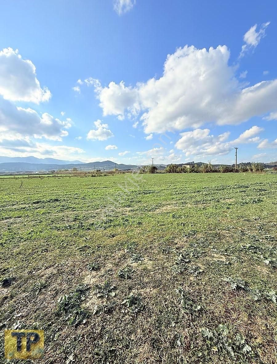 Süper Konumlu Satılık Tarla - Görsel 2