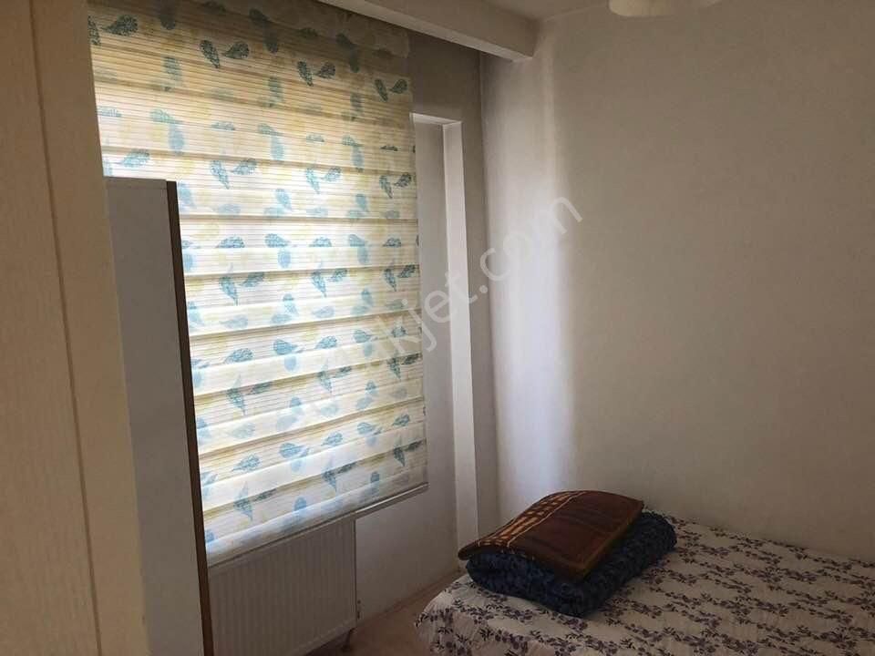 Mevlana Civarı Eşyalı Kira Garantili 2+1 Satılık Stüdyo Daire - Görsel 5