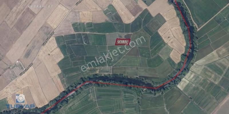 Çanakkale Biga Güleç Köy Satılık Yatırımlık Verimli Fırsat Tarla - Görsel 2