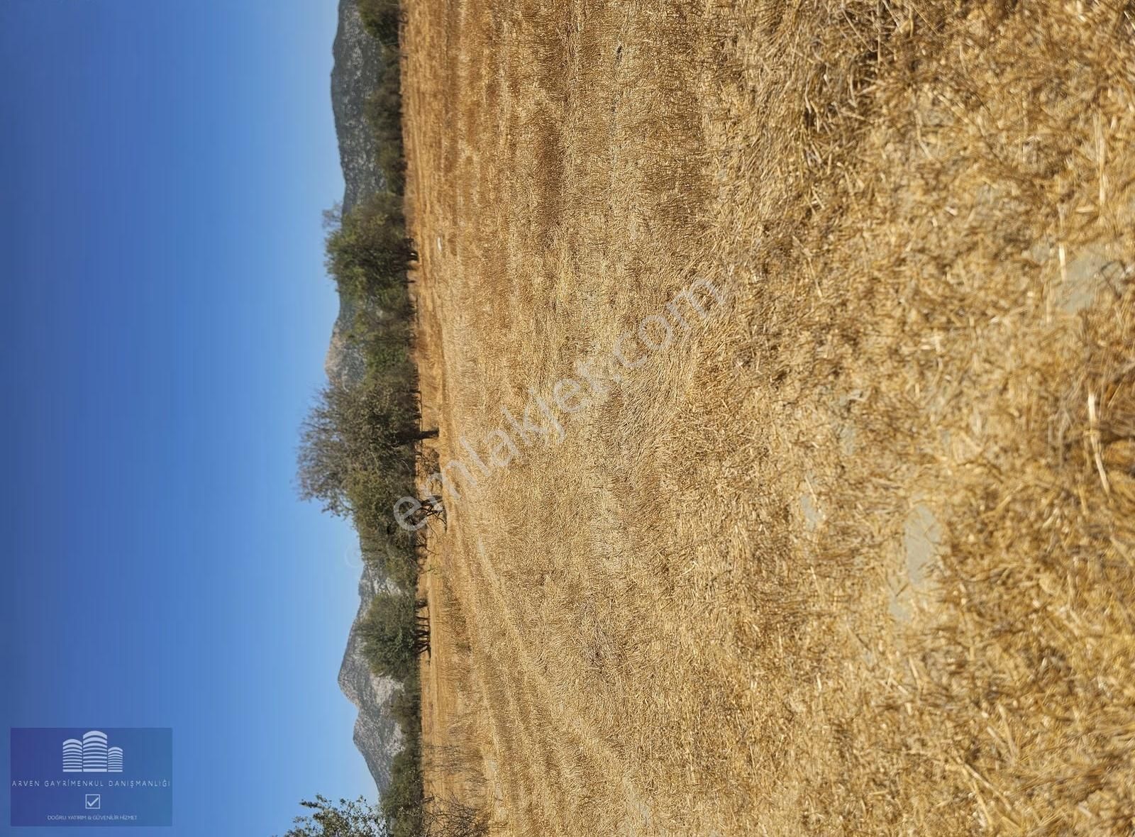 Antalya Bademagacı Harıka Arazi Yola Yakın - Görsel 3