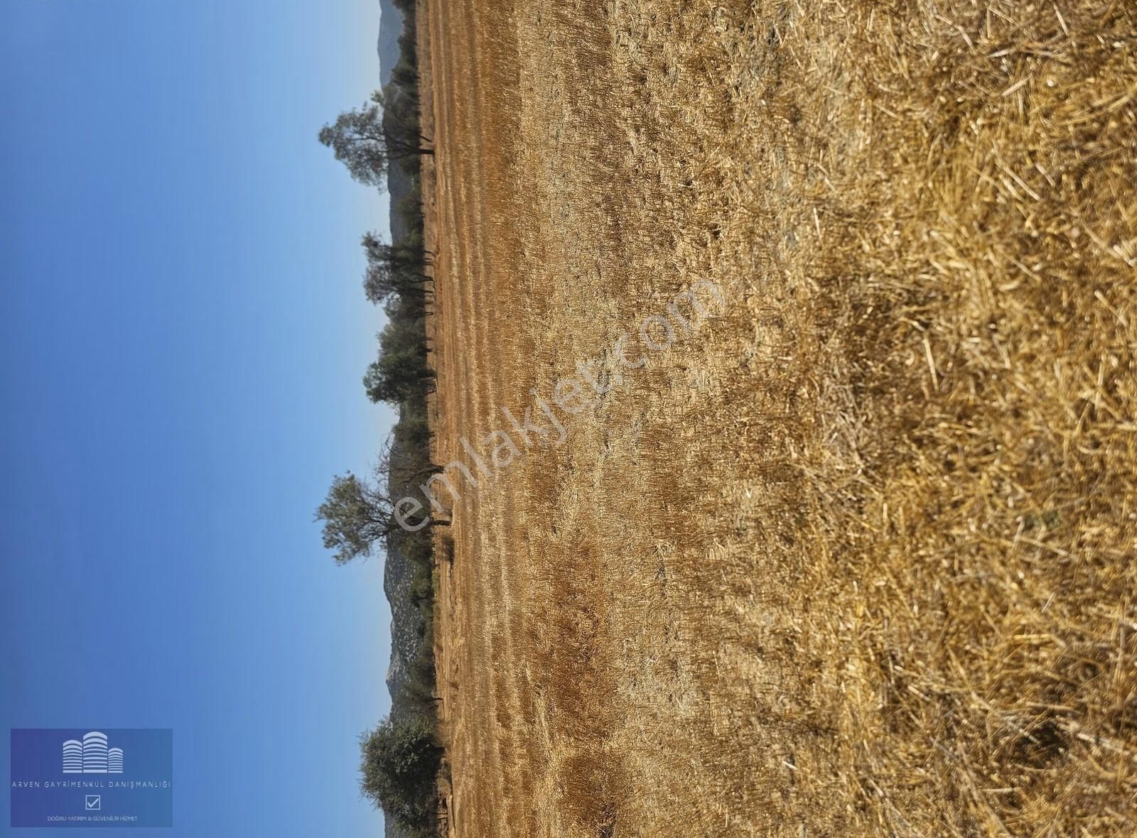 Antalya Bademagacı Harıka Arazi Yola Yakın - Görsel 8