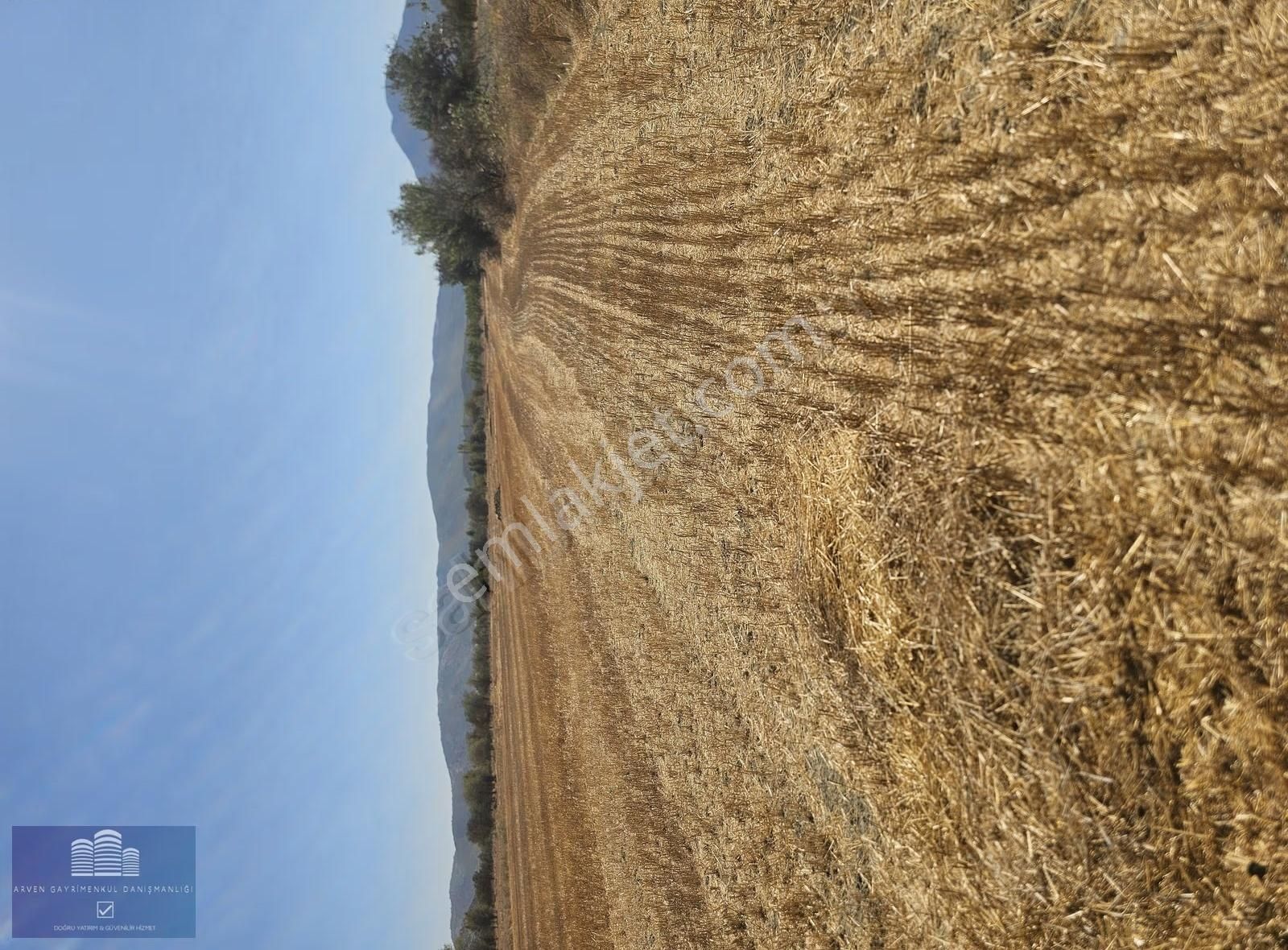 Antalya Bademagacı Harıka Arazi Yola Yakın - Görsel 7