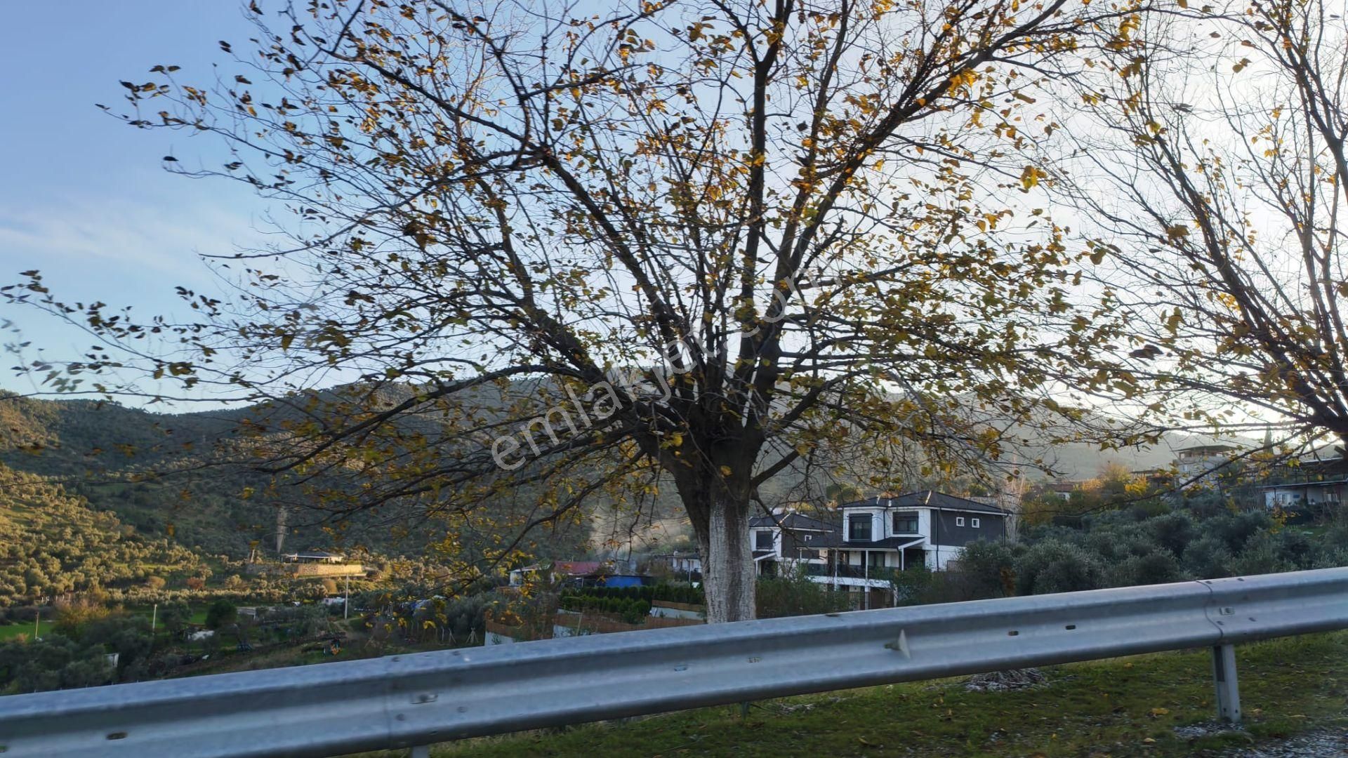Aydın Kocarı Köyünde Yola Sıfır 3 Kat Villa İmarlı Yenı Yapı Sıfır Tadılatlı Fırsat Yer - Görsel 4