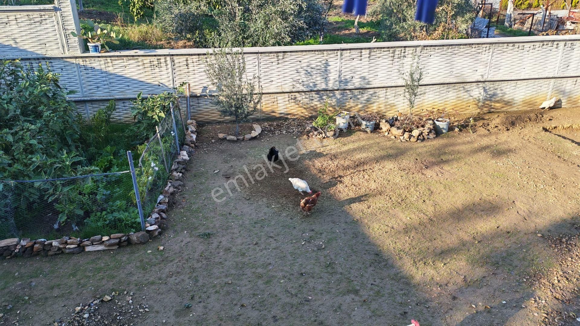 Aydın Kocarı Köyünde Yola Sıfır 3 Kat Villa İmarlı Yenı Yapı Sıfır Tadılatlı Fırsat Yer - Görsel 20