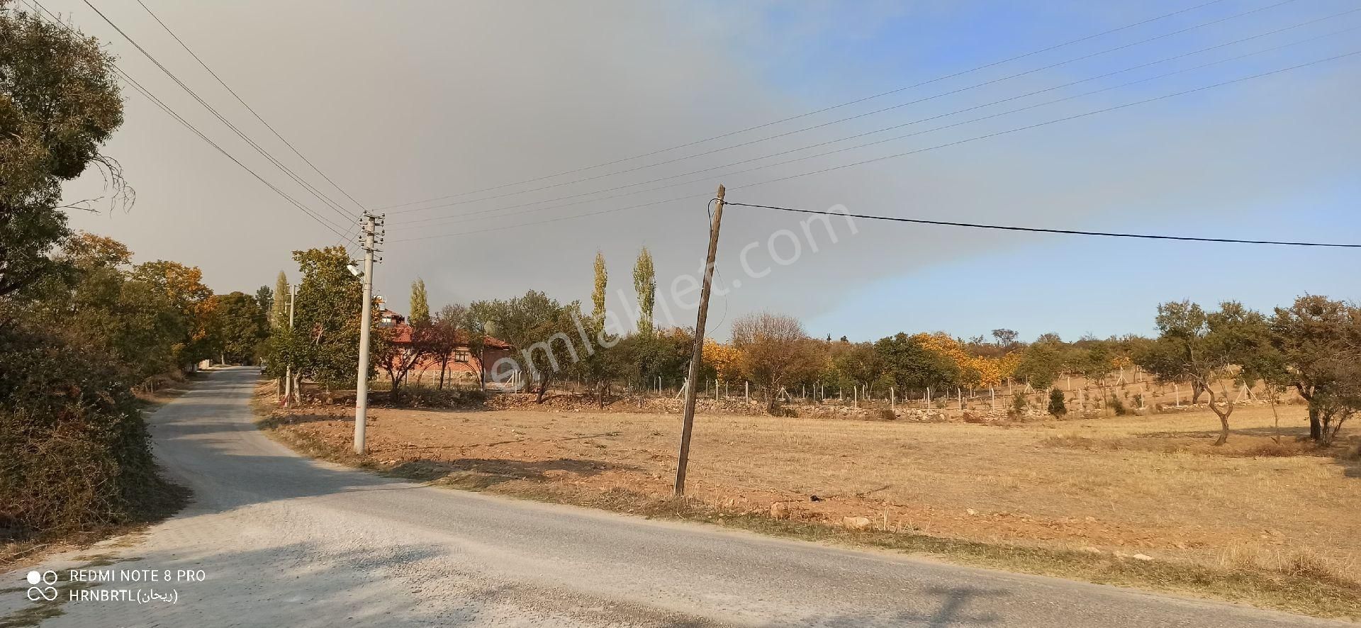 Nora'dan Tavas Ören'de Köyiçi Yatırımlık - Görsel 6