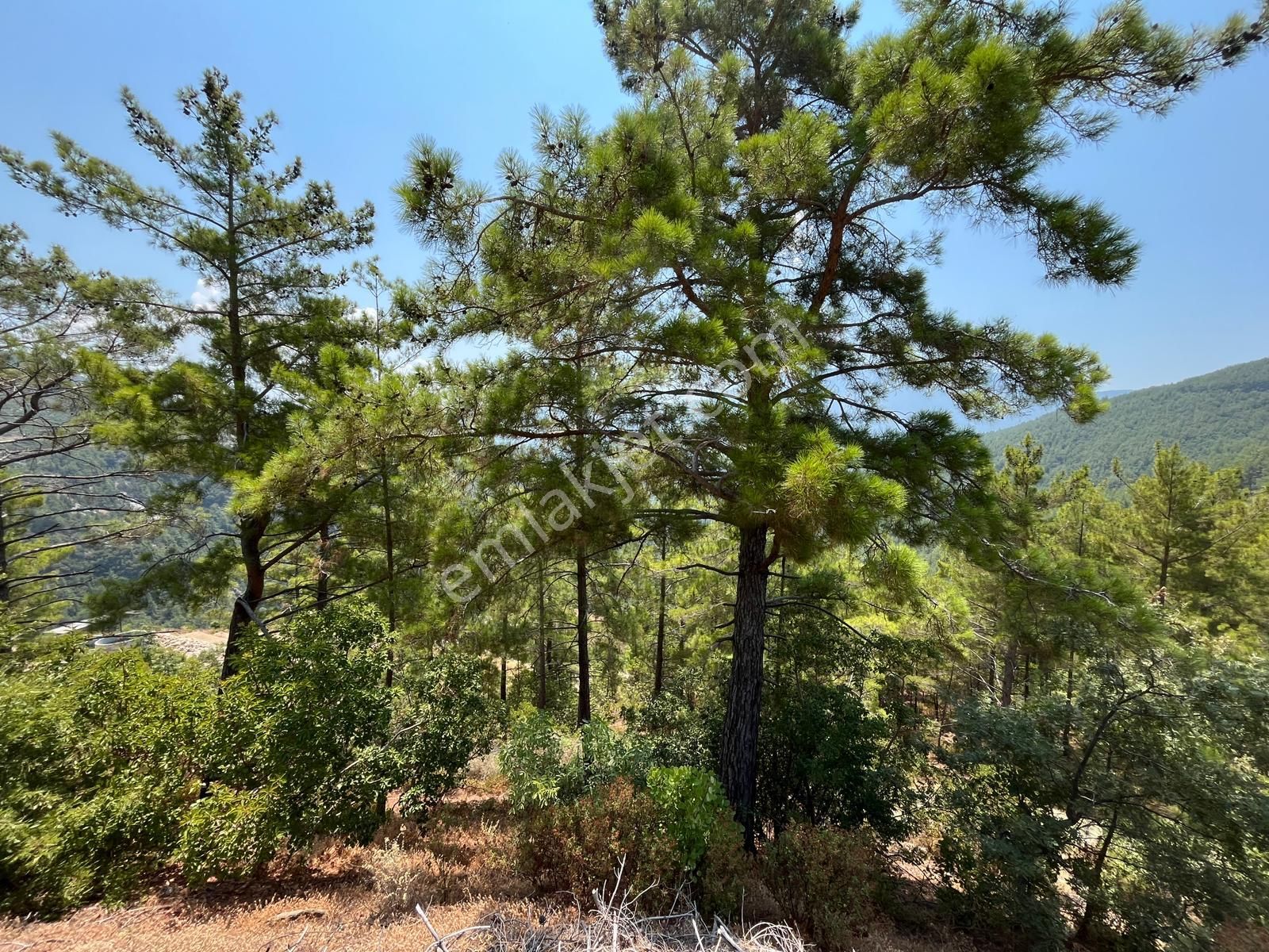 Alanya Dim Uğurlu Köyünde Satılık Tek Tapu 3419 M2 Tarla - Görsel 9