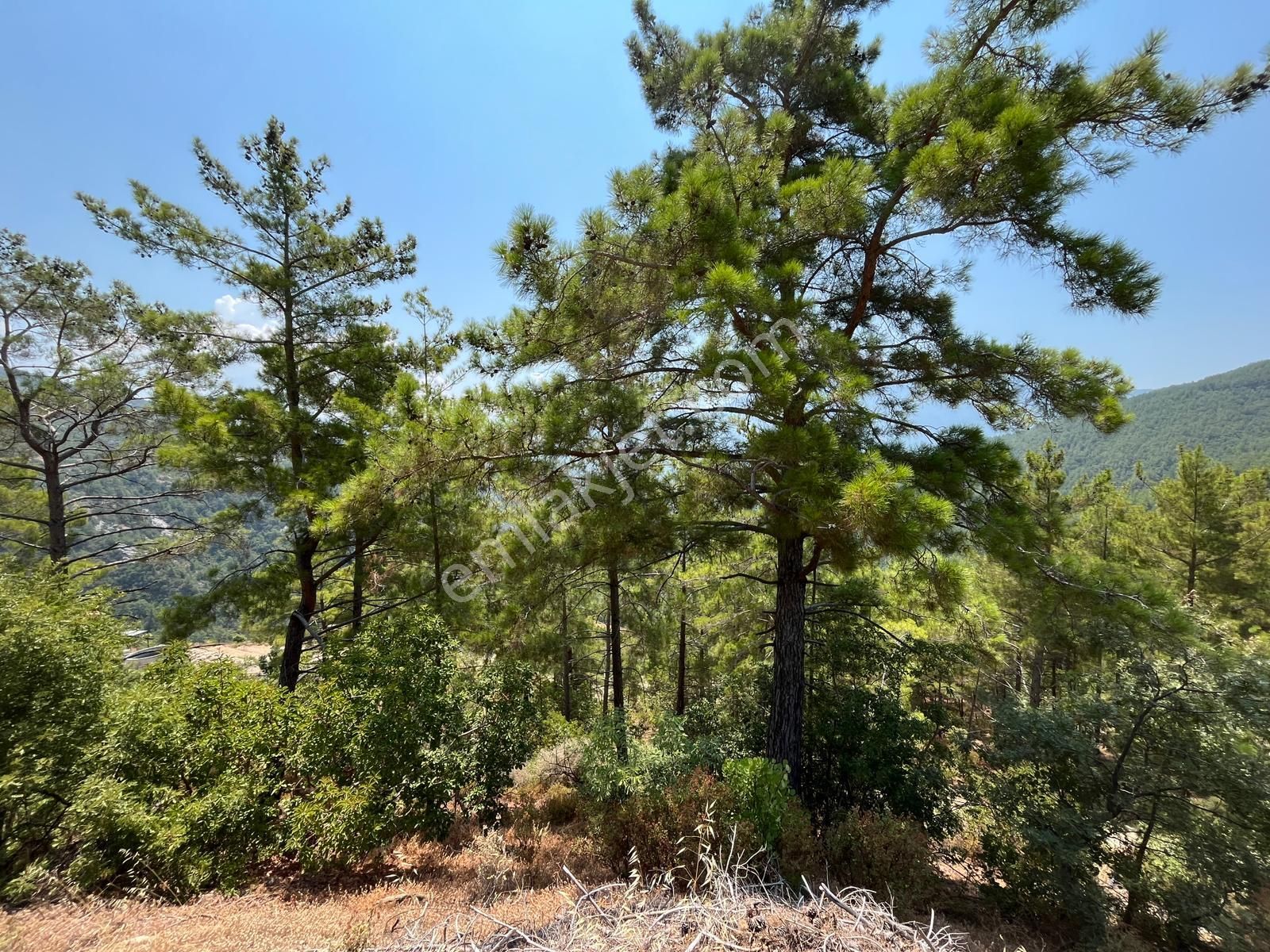 Alanya Dim Uğurlu Köyünde Satılık Tek Tapu 3419 M2 Tarla - Görsel 6