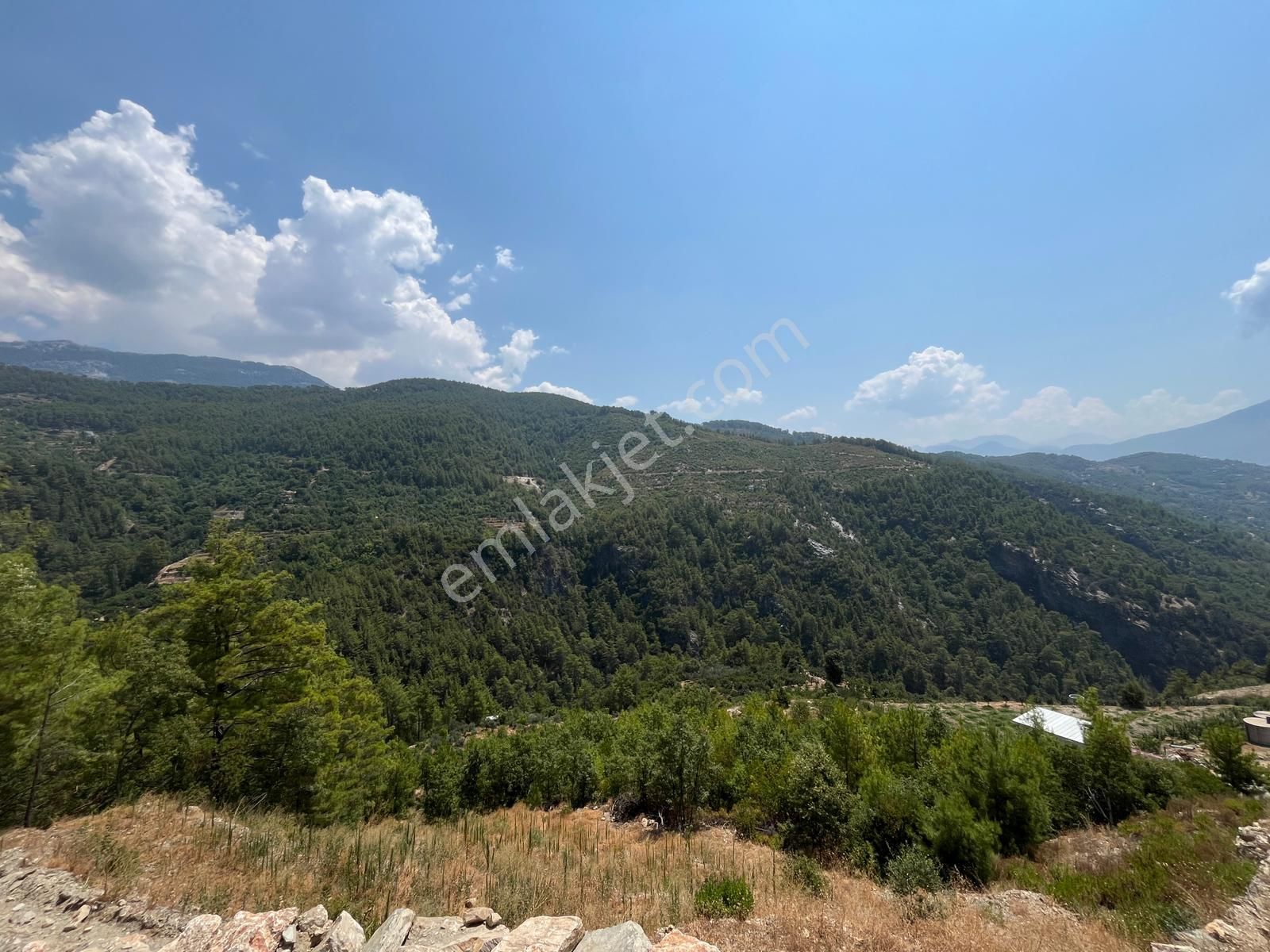 Alanya Dim Uğurlu Köyünde Satılık Tek Tapu 3419 M2 Tarla