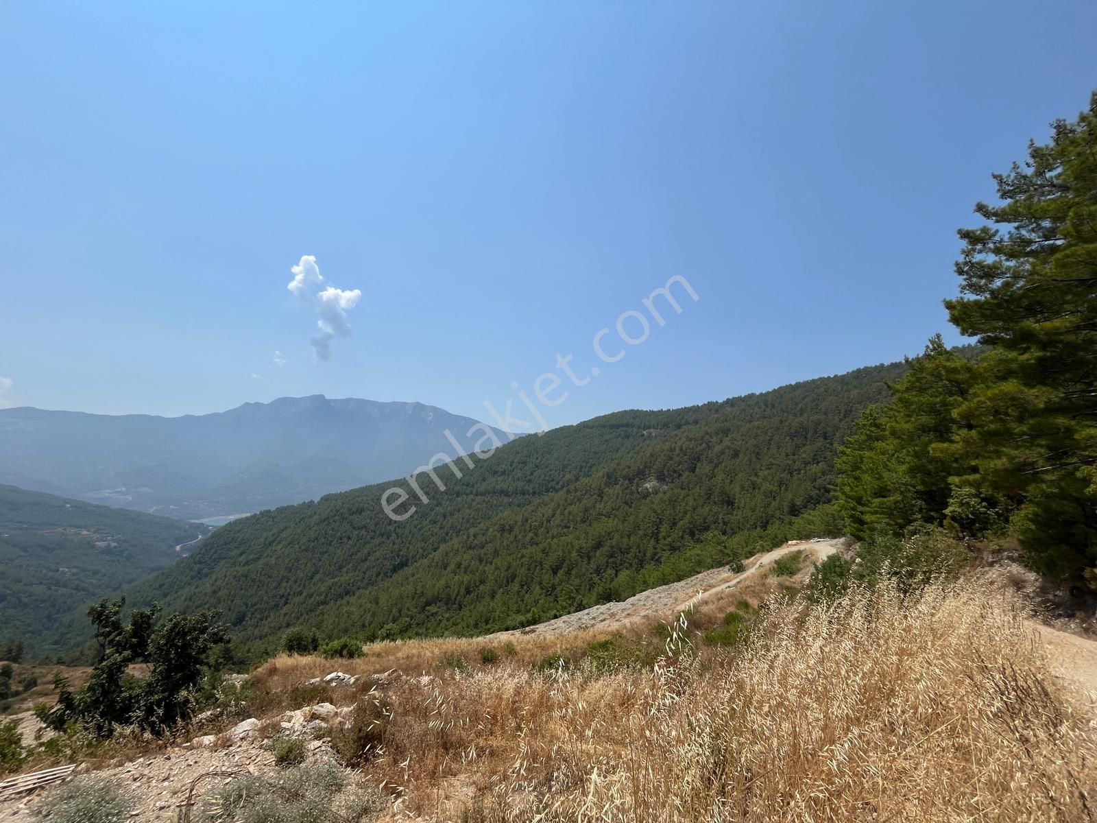 Alanya Dim Uğurlu Köyünde Satılık Tek Tapu 3419 M2 Tarla - Görsel 4