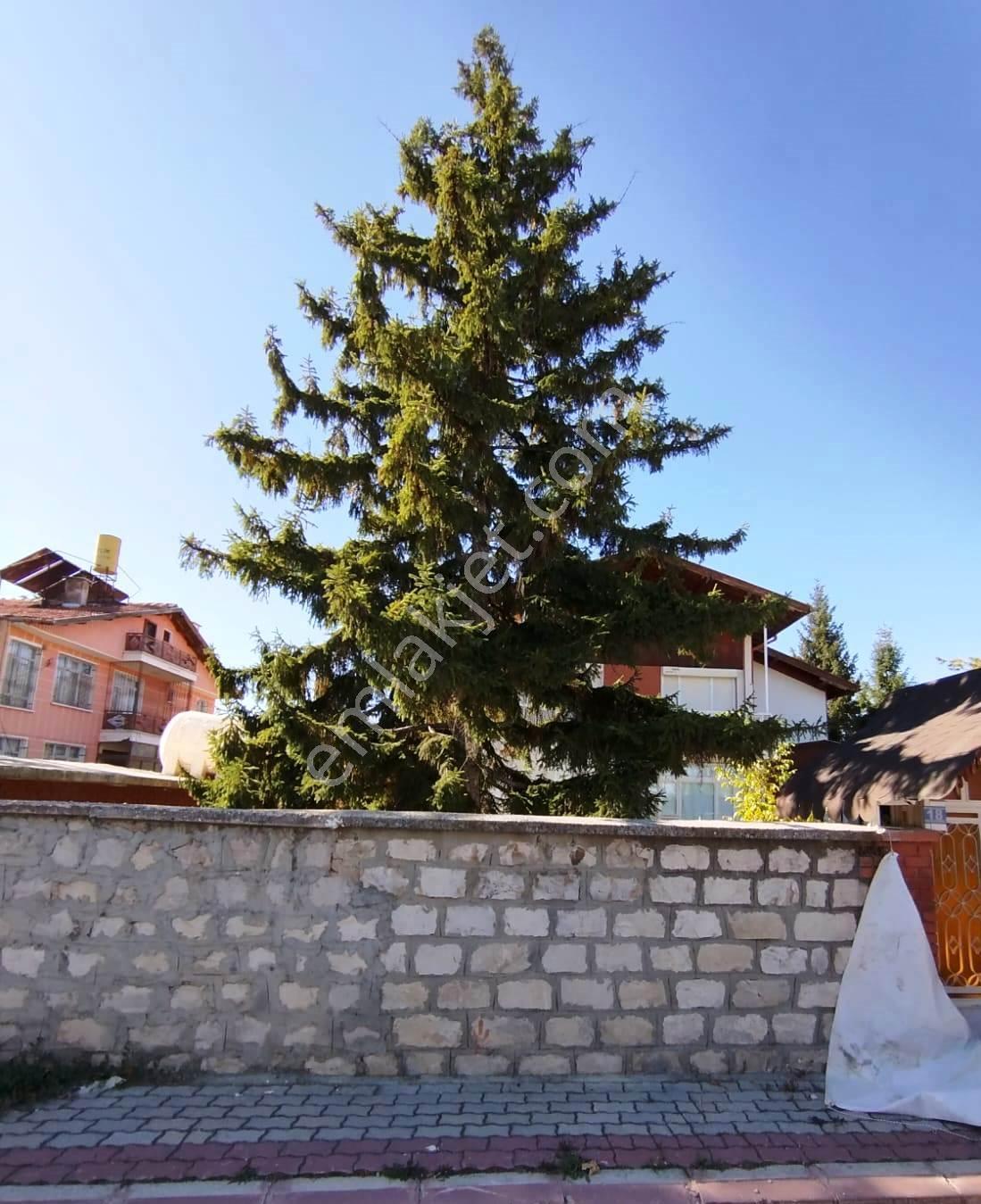 Baha'dan Meram Yaka'da Villaların İçinde Müstakil Villa - Görsel 2