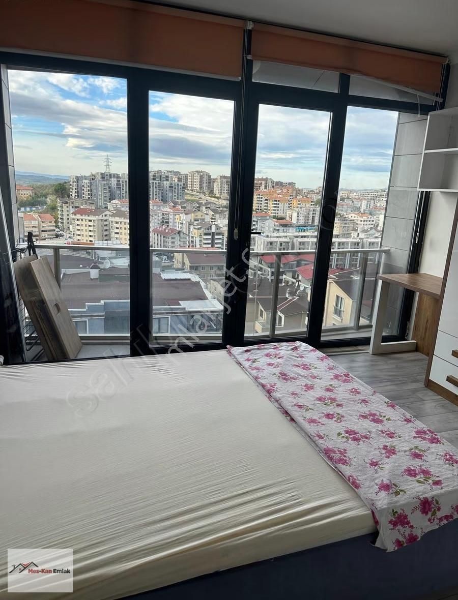 Meskan Dan Ostaş Vizyonda 1+1 Dubleks Eşyalı Kiralık - Görsel 2