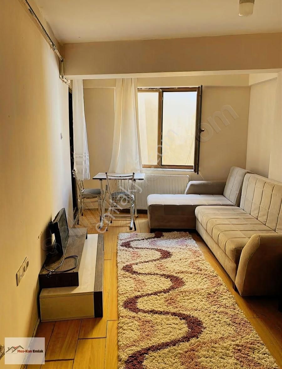Meskan Dan Yerleşimde Ara Kat 2+1 Eşyalı Kiralık - Görsel 11