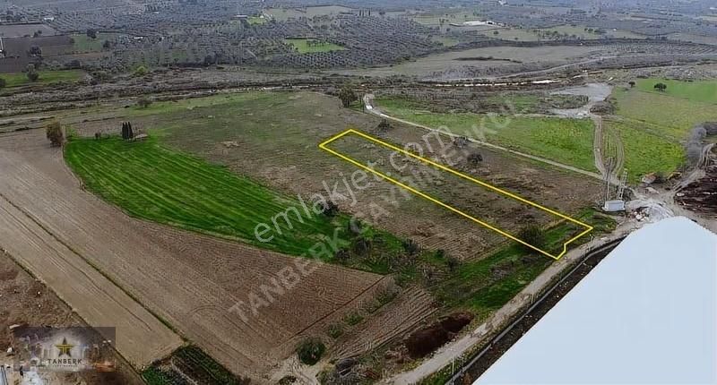 ^^kınık Organize Sanayi Bölgesi Sınırında Satılık Tarla 4.204 M2 - Görsel 2