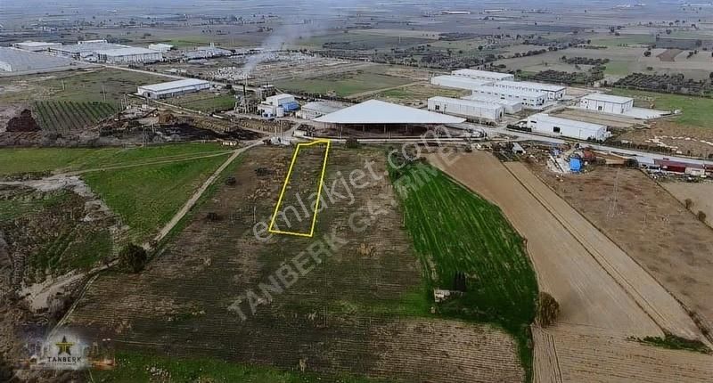 ^^kınık Organize Sanayi Bölgesi Sınırında Satılık Tarla 4.204 M2