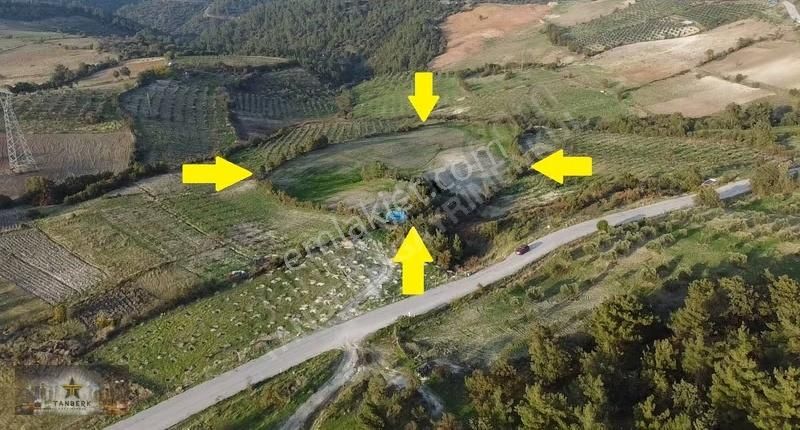 Satılık Tarla 16.383 M2 Köseler Köyünde - Görsel 9