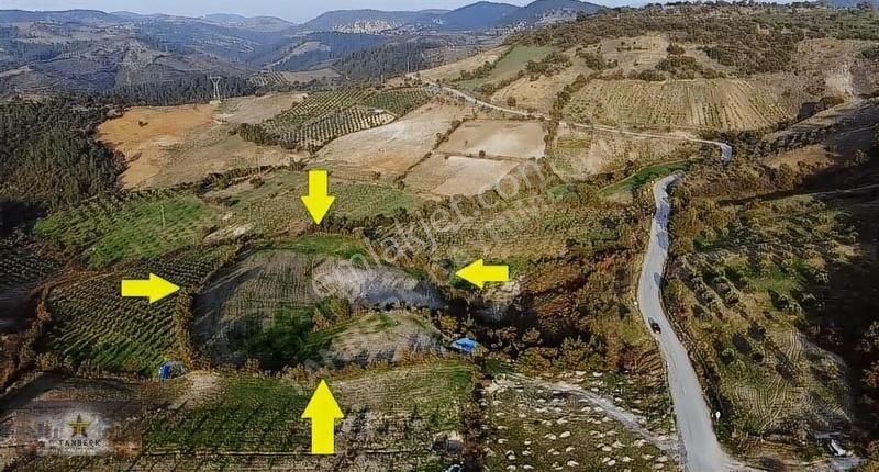 Satılık Tarla 16.383 M2 Köseler Köyünde - Görsel 6