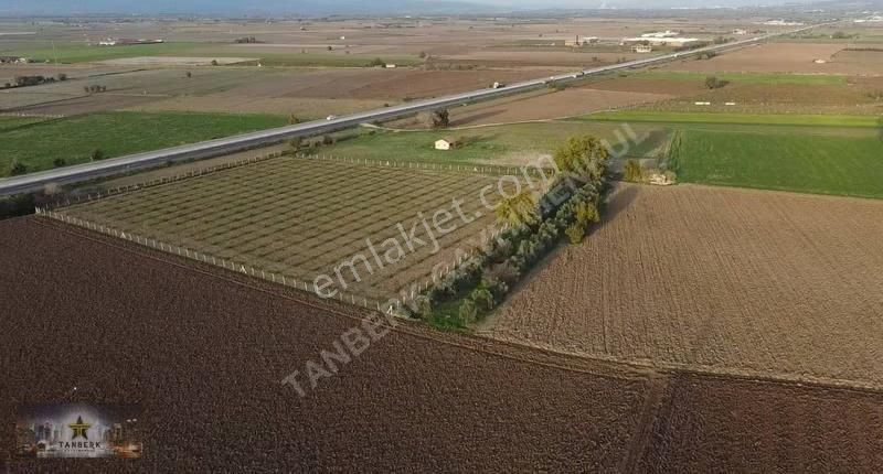 Satılık Ana Yol Üzeri Zeytinlik 12.936 M2 Elektrikli Sondajlı - Görsel 4