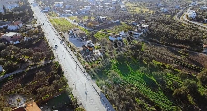 Kiralık Depo Ana Cadde Üzerinde 2.543 M2 - Görsel 4