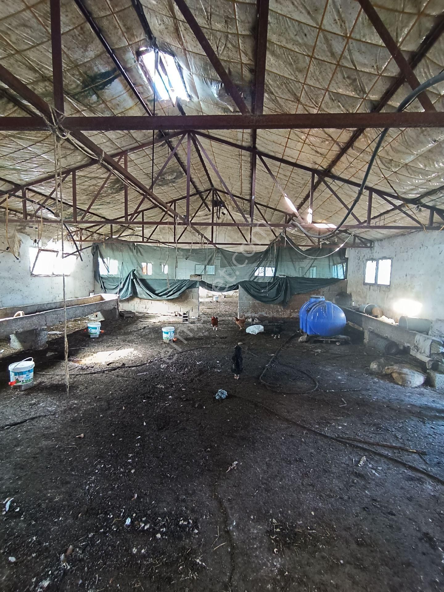 Bizim Emlak'tan Hacıhamzalıda 1108 M2 Arsa İçinde Satılık Çiftlik Evi - Görsel 29