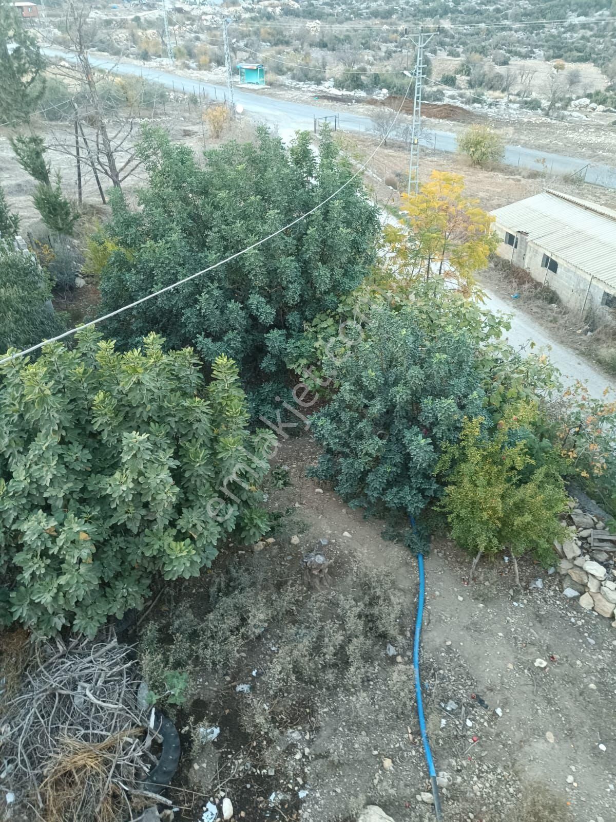 Bizim Emlak'tan Hacıhamzalıda 1108 M2 Arsa İçinde Satılık Çiftlik Evi - Görsel 2