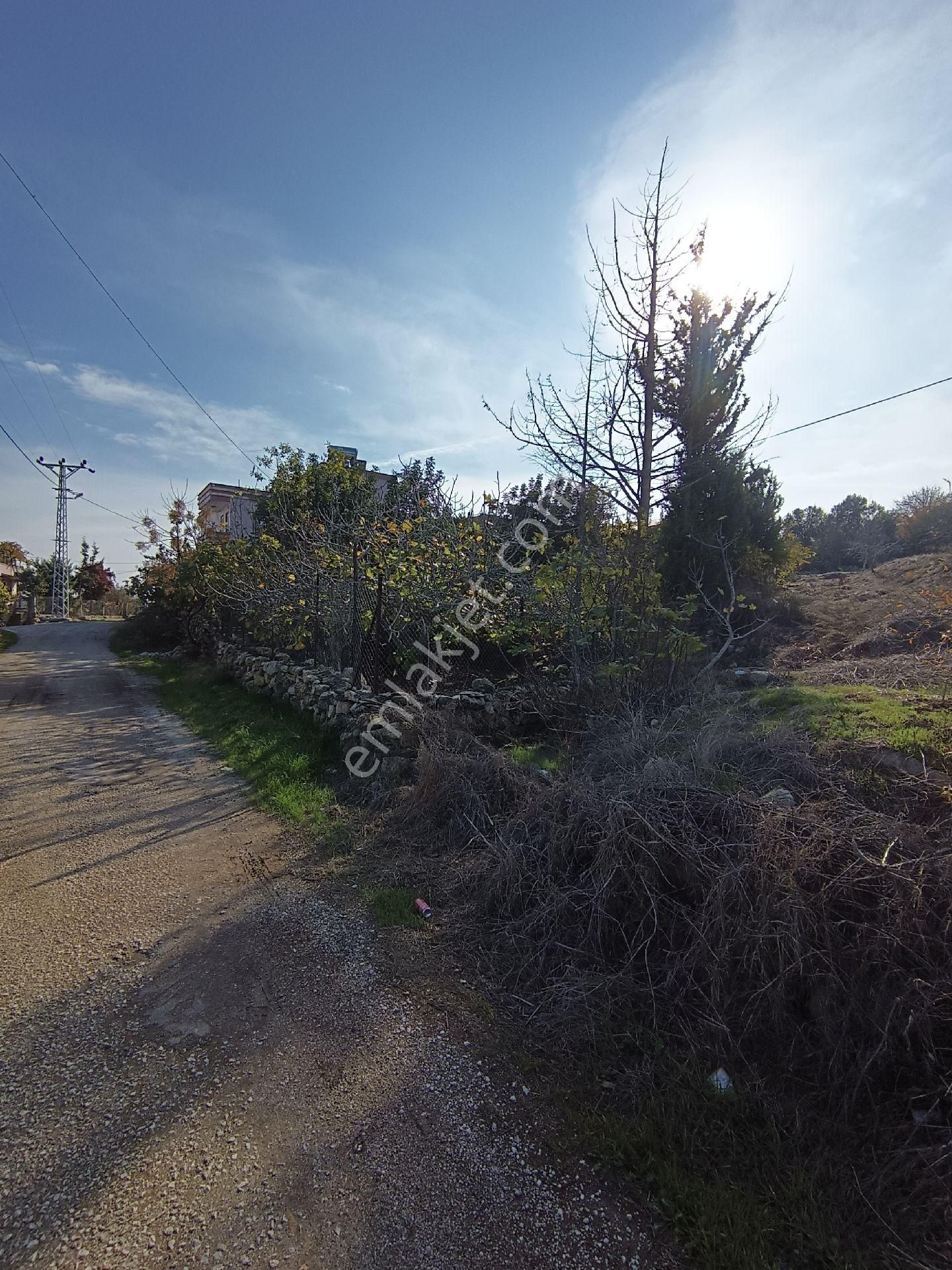 Bizim Emlak'tan Hacıhamzalıda 1108 M2 Arsa İçinde Satılık Çiftlik Evi - Görsel 33