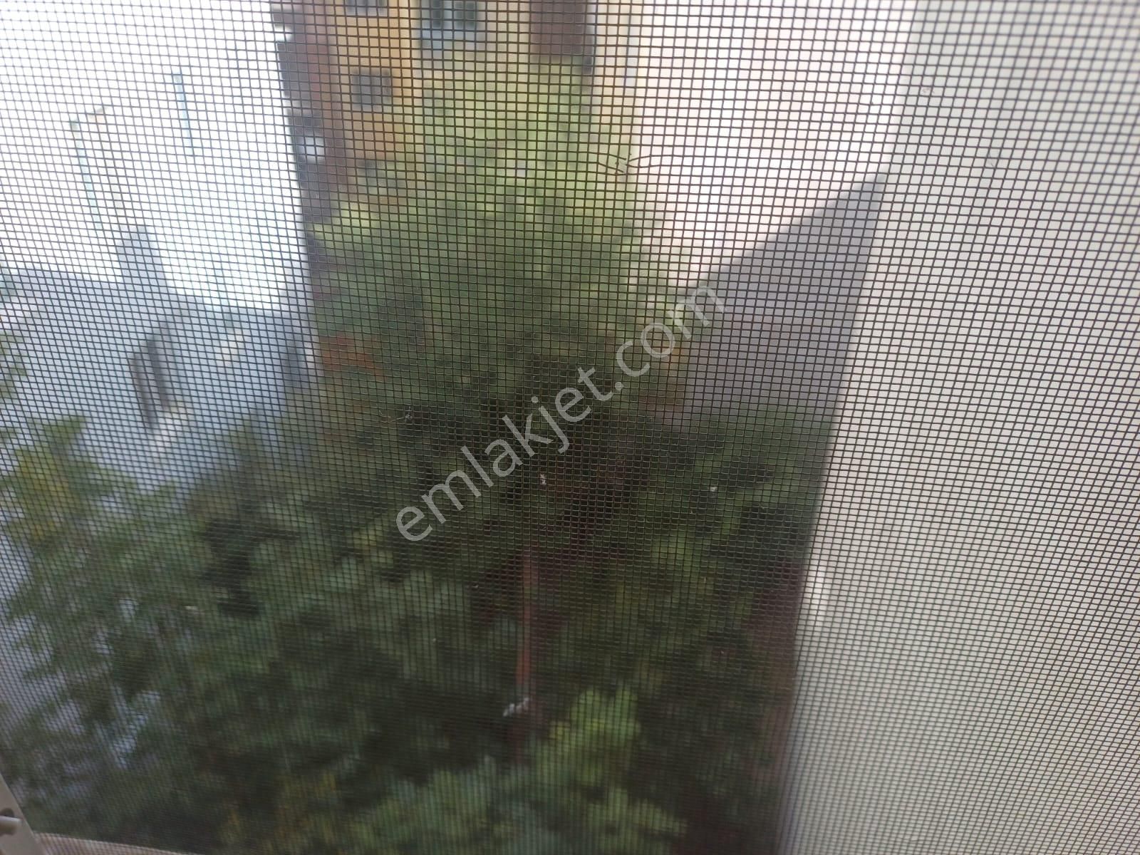 Nil Emlak Gayrimenkul Danışmanlığından Bahçelievlerde 50 M2 1+1 - Görsel 7