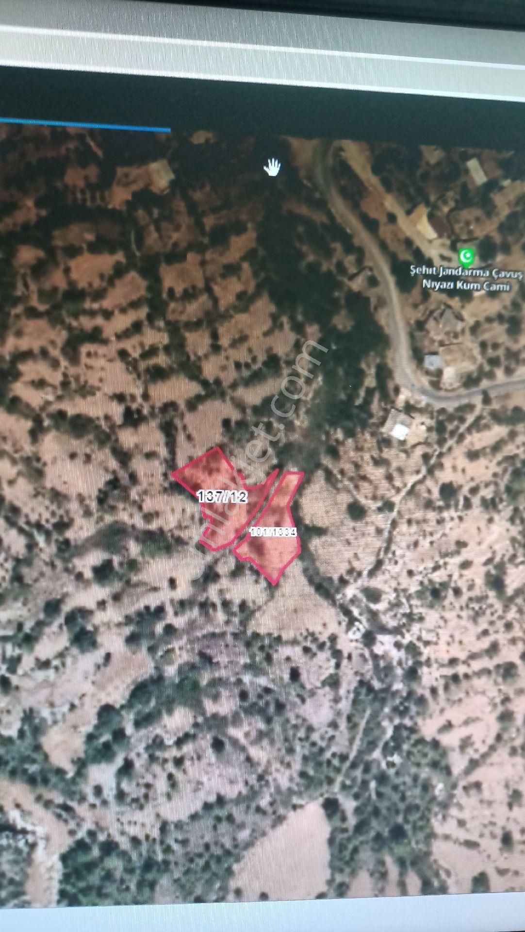 Aydıncık Emlaktan Satılık Tarlalar Duruhan'da