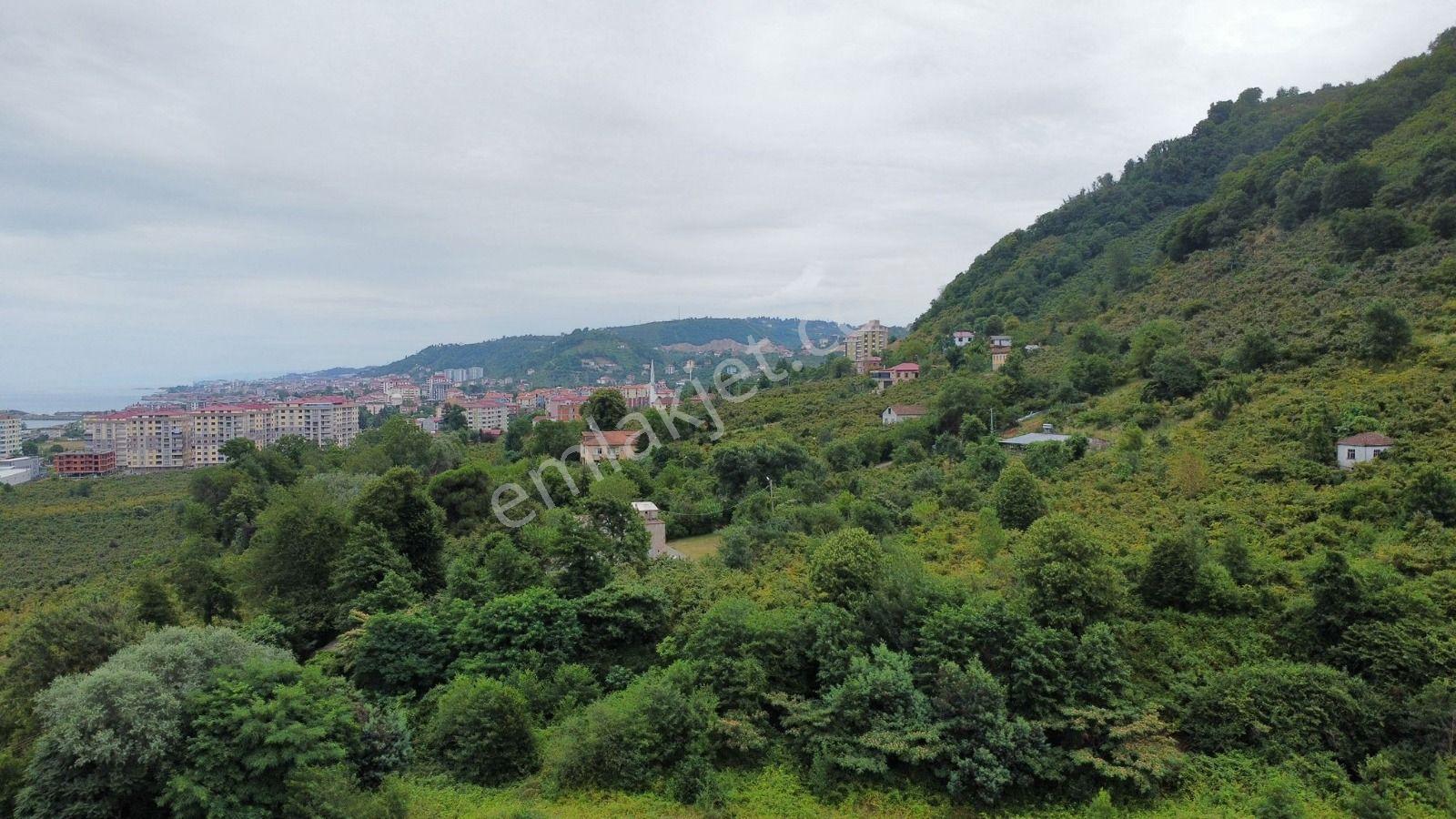 Trabzon Arsin'de Satılık Arsa - Görsel 10