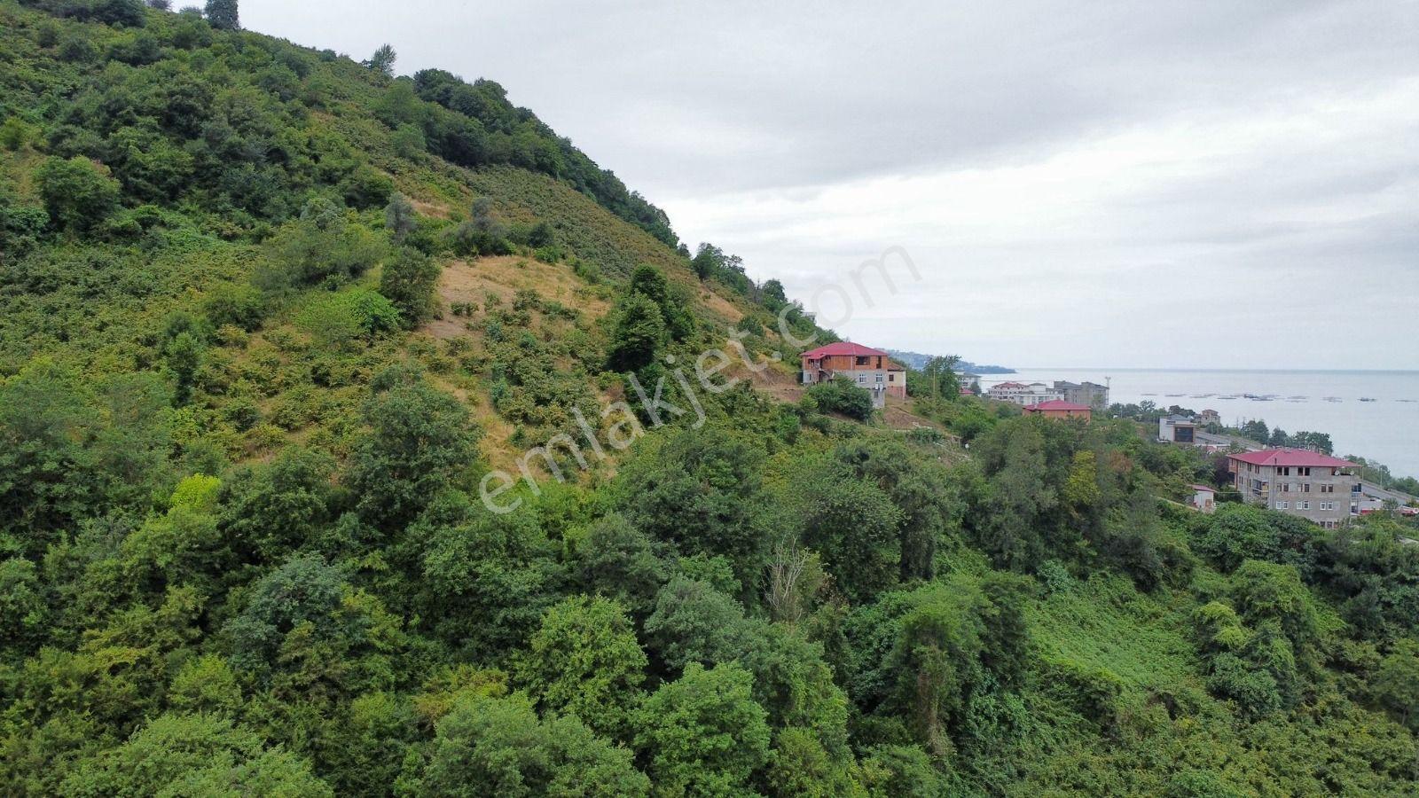 Trabzon Arsin'de Satılık Arsa - Görsel 3