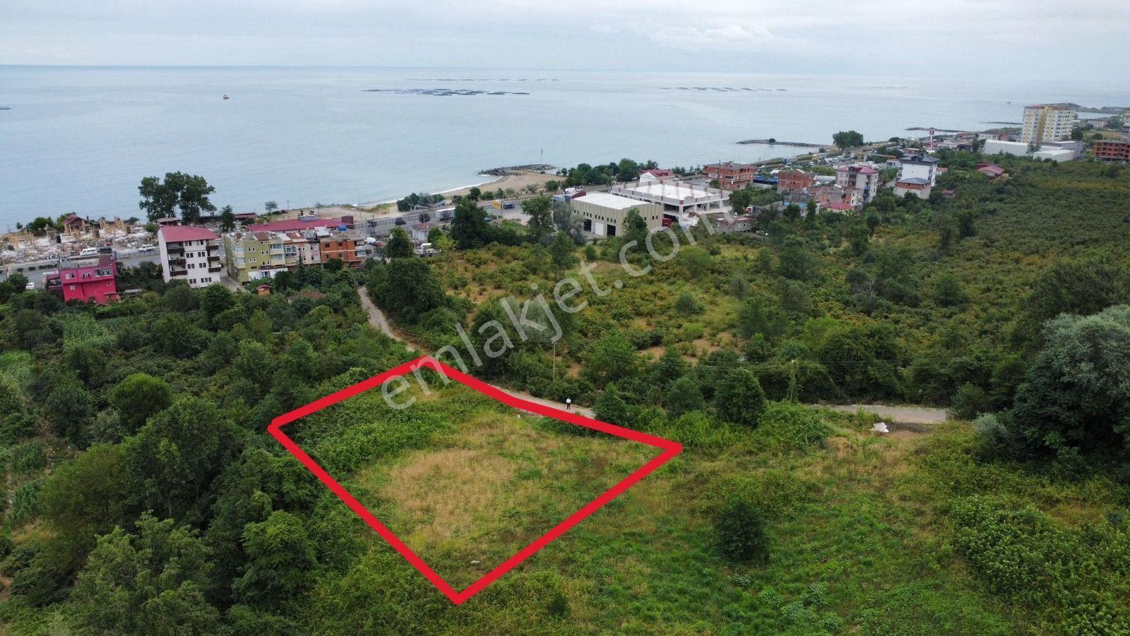 Trabzon Arsin'de Satılık Arsa - Görsel 4