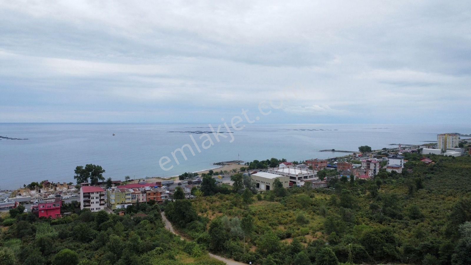 Trabzon Arsin'de Satılık Arsa - Görsel 7