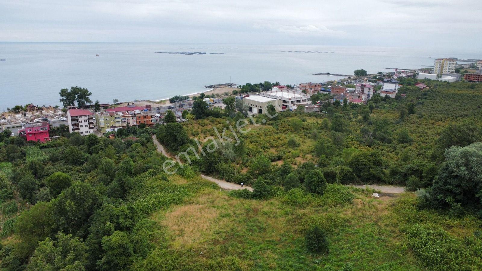 Trabzon Arsin'de Satılık Arsa - Görsel 18