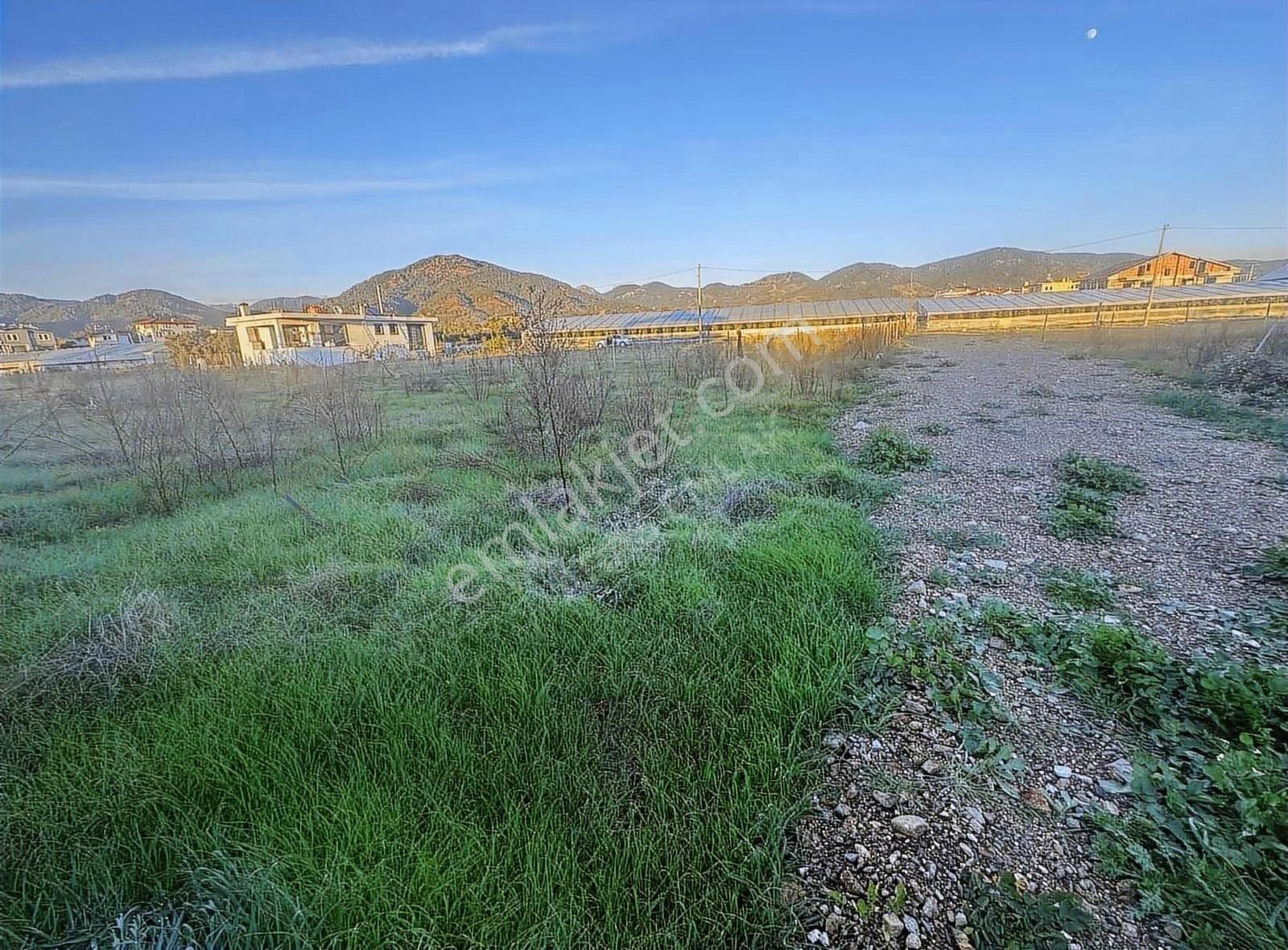 Çamköy'de Acil Satılık 400 M2 Tarla - Görsel 14